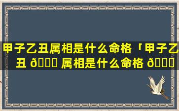 甲子乙丑属相是什么命格「甲子乙丑 💐 属相是什么命格 🐎 的」